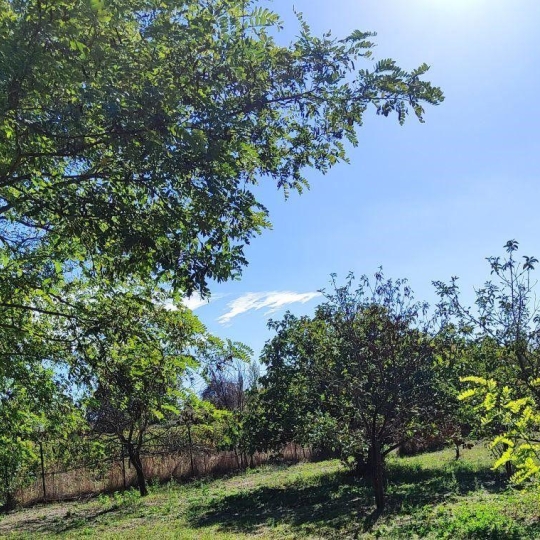  LAGENCE EMMA IMMOBILIER : Domaines / Propriétés | SERVIAN (34290) | 206 m2 | 435 000 € 