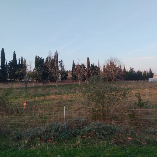  LAGENCE EMMA IMMOBILIER : Terrain | MOUSSOULENS (11170) | 0 m2 | 65 000 € 