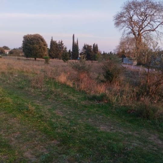  LAGENCE EMMA IMMOBILIER : Terrain | MOUSSOULENS (11170) | 0 m2 | 65 000 € 