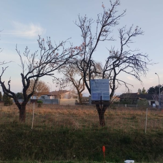  LAGENCE EMMA IMMOBILIER : Terrain | MOUSSOULENS (11170) | 0 m2 | 65 000 € 
