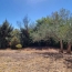  LAGENCE EMMA IMMOBILIER : Maison / Villa | SAINT-CHINIAN (34360) | 356 m2 | 840 000 € 