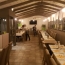  LAGENCE EMMA IMMOBILIER : Commerces | CARCASSONNE (11000) | 0 m2 | 354 000 € 