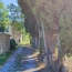  LAGENCE EMMA IMMOBILIER : Domaines / Propriétés | SERVIAN (34290) | 206 m2 | 435 000 € 