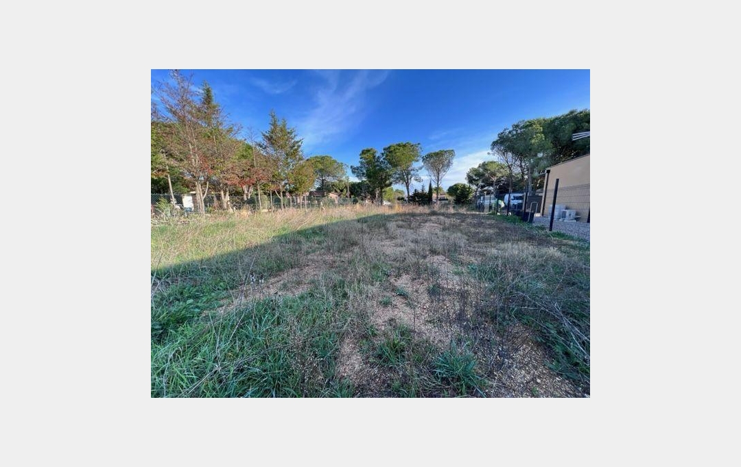 LAGENCE KOOB IMMOBILIER : Terrain | MARSEILLAN (34340) | 0 m2 | 399 000 € 