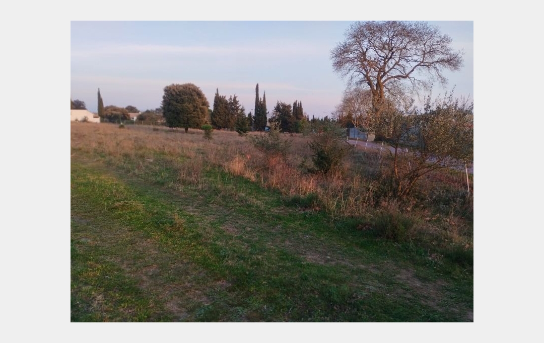 LAGENCE EMMA IMMOBILIER : Terrain | MOUSSOULENS (11170) | 0 m2 | 65 000 € 